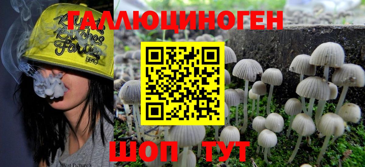 Галлюциногенные грибы мухоморы Тула