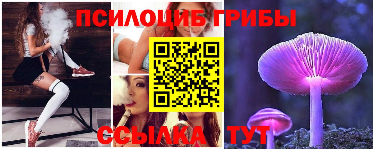 Псилоцибиновые грибы мицелий  Галлюциногенные грибы GOLDEN TEACHER  Тула  Вход с VPN 